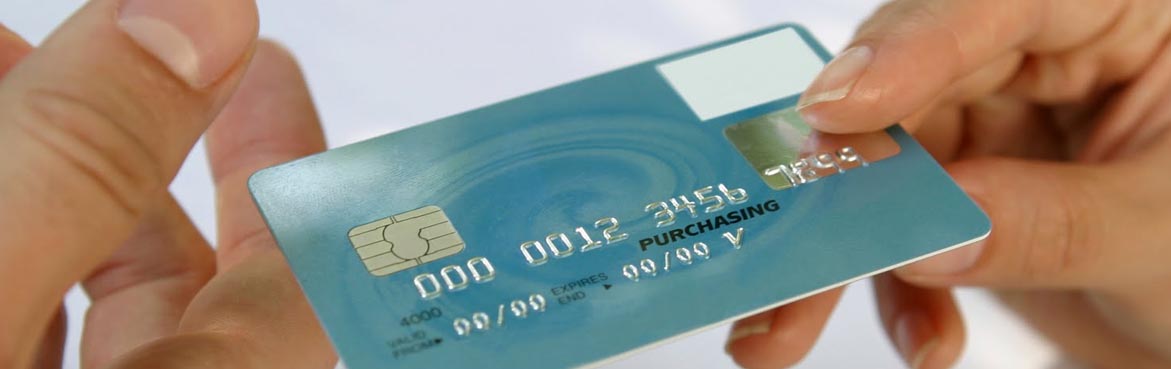 Secure payment processing for online stores